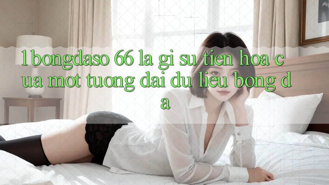 1. Bongdaso 66 Là Gì? Sự Tiến Hóa Của Một Tượng Đài Dữ Liệu Bóng Đá