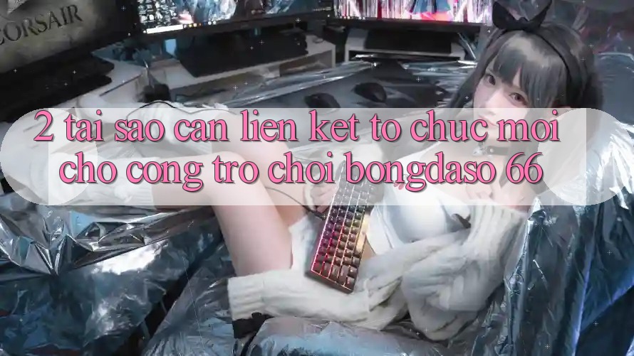 2. Tại Sao Cần “Liên kết Tổ chức Mới” Cho Cổng Trò chơi Bongdaso 66?
