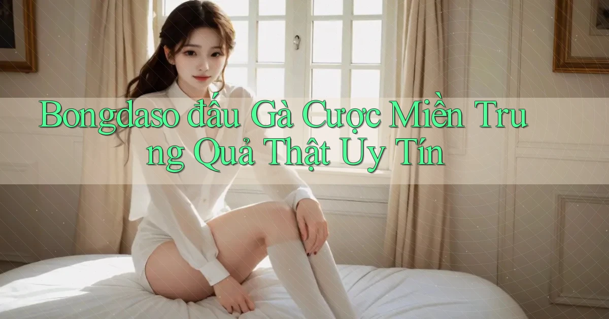 bongdaso  đấu gà cược miền trung quả thật uy tín