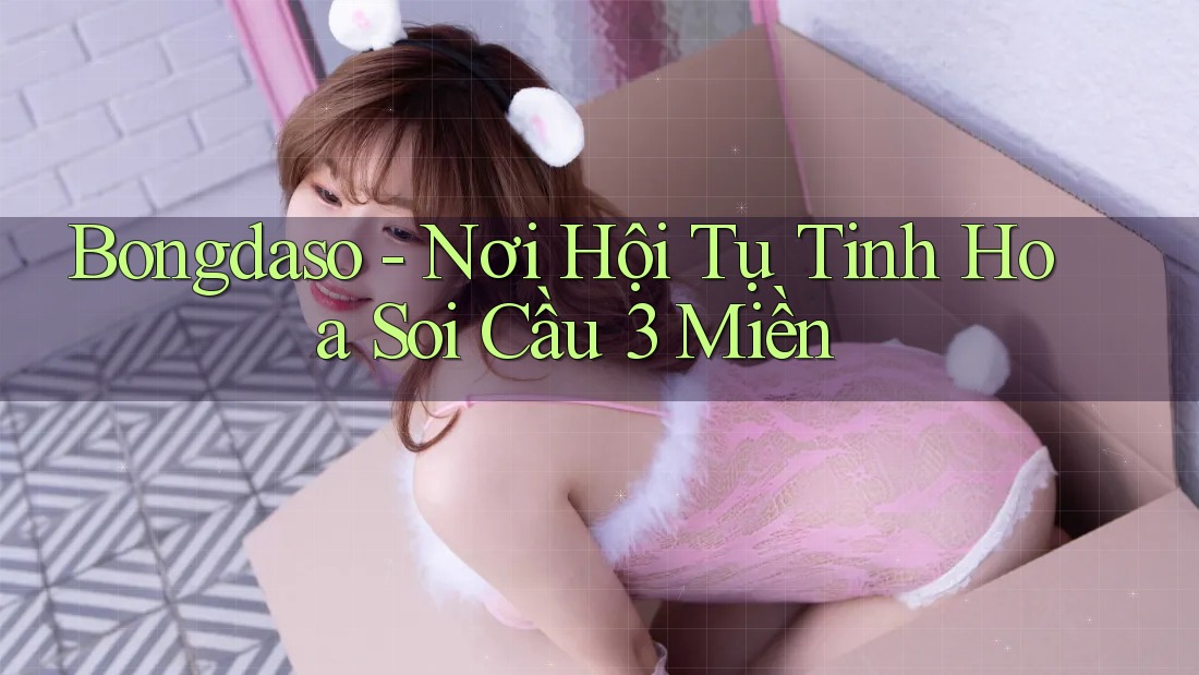 Bongdaso - Nơi Hội Tụ Tinh Hoa Soi Cầu 3 Miền