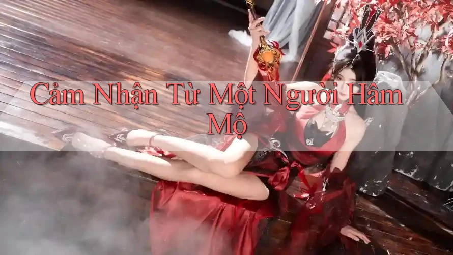 Cảm Nhận Từ Một Người Hâm Mộ