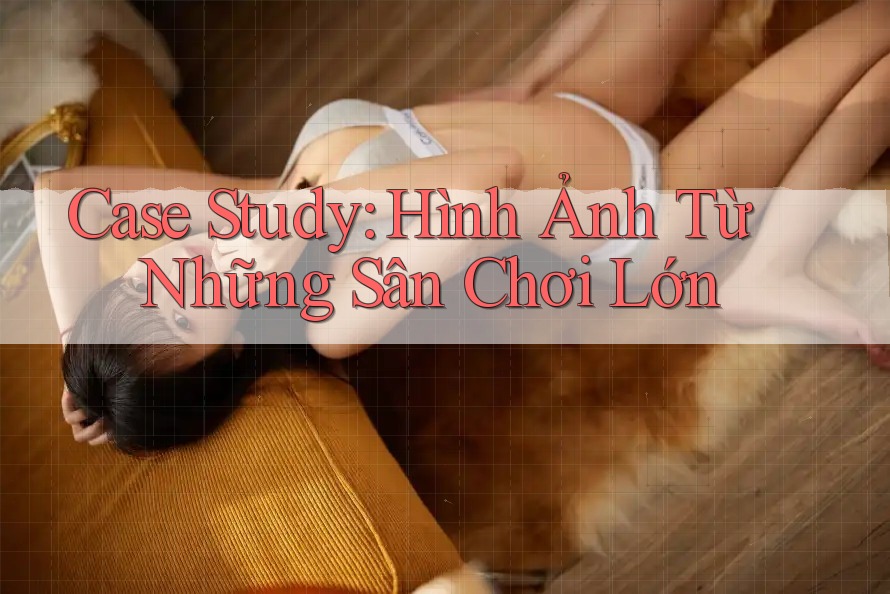 Case Study: Hình Ảnh Từ Những Sân Chơi Lớn