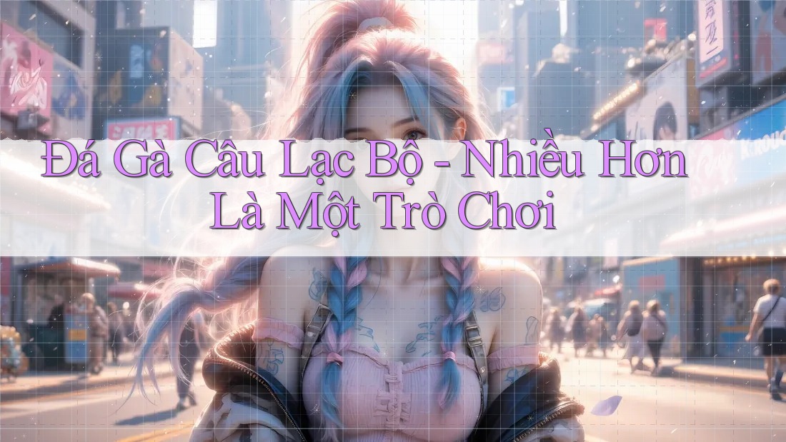 Đá Gà Câu Lạc Bộ - Nhiều Hơn Là Một Trò Chơi