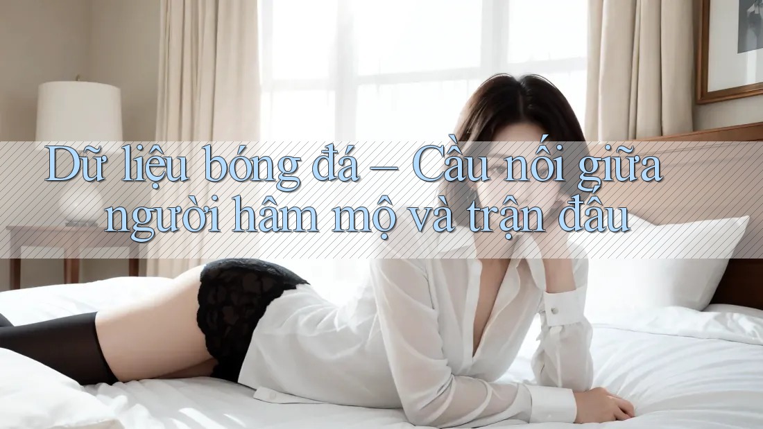 Dữ liệu bóng đá – Cầu nối giữa người hâm mộ và trận đấu