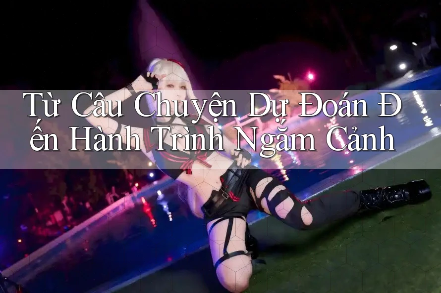 Từ Câu Chuyện Dự Đoán Đến Hành Trình Ngắm Cảnh
