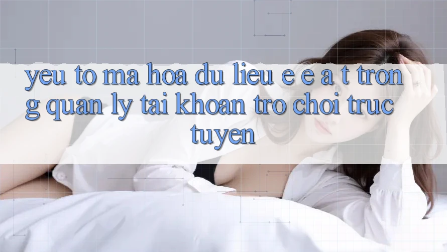 Yếu Tố Mã hóa dữ liệu: E-E-A-T Trong Quản Lý Tài Khoản Trò chơi trực tuyến